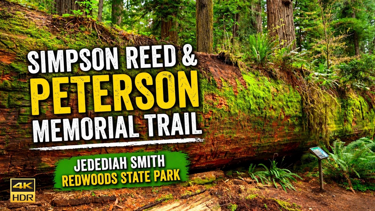 Step Into a Real-Life Fairytale Forest 🌿 Simpson-Reed & Peterson Memorial Trail 4K 60 FPS