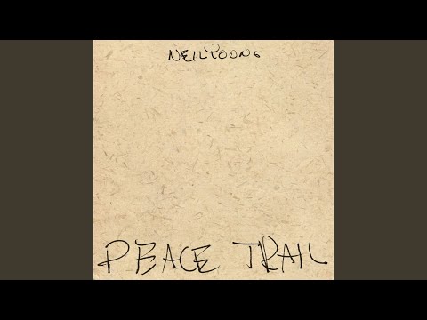 Terrorist Suicide Hang Gliders - Neil Young
