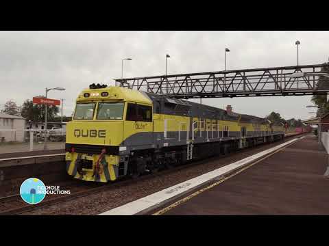 Diesel Locomotives QL011, QL003 & QL005 - Branxton - October 2021