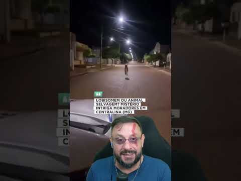 Lobisomem ou Lobo-guará em Centralina MG? #biologohenrique #animais #bichoesperto #biologo