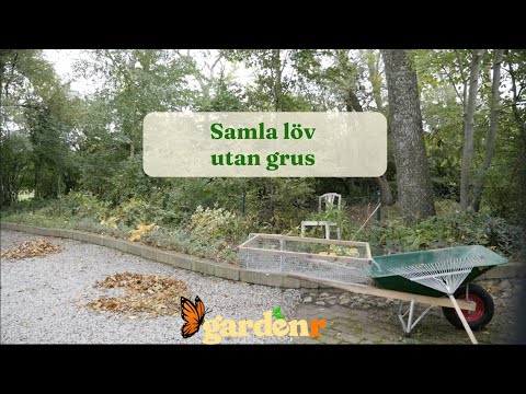 Samla löv utan grus - Trädgårdshacks med GardenR