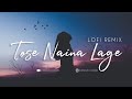 Javeda Zindagi Tose Naina Lage Remix Anwar Indian Lofi