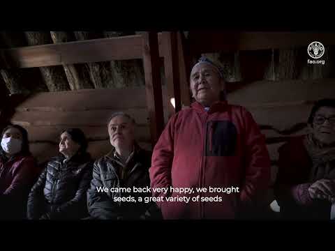 Ancestral system of the Pehuenche mountain range: homegardens, gathering and transhumance in the Ngulumapu territory, Chile
