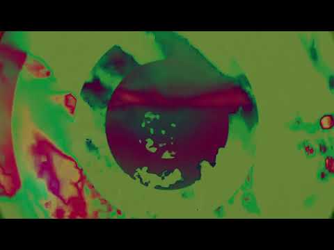 TRAINING & John - Anthill Closeup (Official Video)