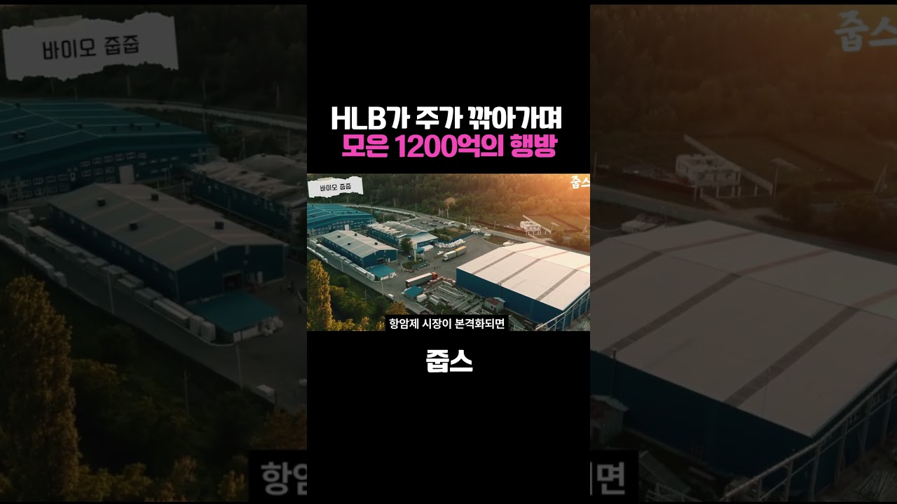 HLB가 주가 깎아가며 모은 1200억의 행방
