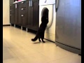Cat Washing Machine