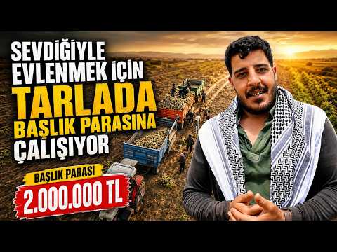 Sevdiğine Kavuşmak İçin Başlık Parasına Tarlada Çalışıyor: 2.000.000 TL!