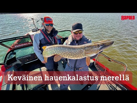 Keväinen hauenkalastus merellä | Testissä Mustache-rigit