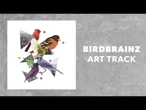 "BirdBrainz" - Otis McDonald