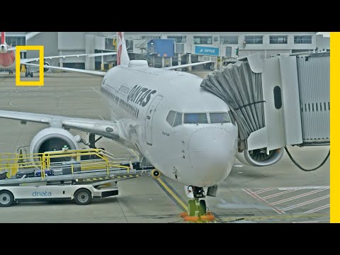 Zobacz, jak funkcjonują rękawy lotnicze! | Sydney: lotnisko pod kontrolą