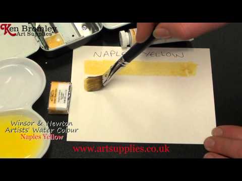 Winsor & Newton Artists' Water Colour paint Naples Yellow 422 Series 1