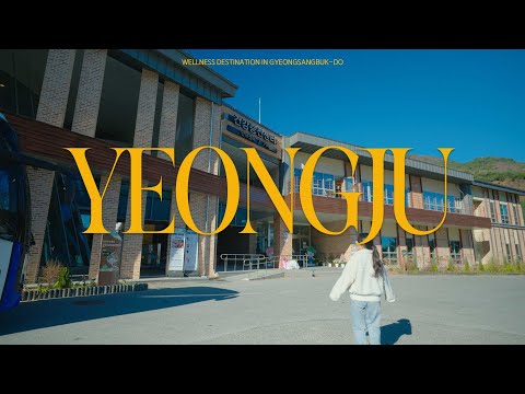 [경북 웰니스 관광지] 