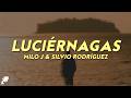 Milo j, Silvio Rodríguez - Luciérnagas (Letra)