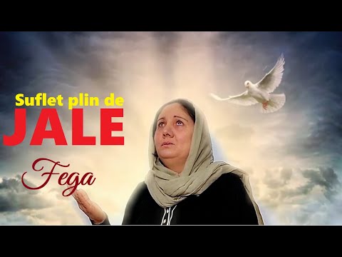 Sora Fega - Suflet plin de jale