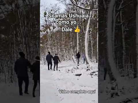 PARQUE NACIONAL TIERRA DEL FUEGO #travel #travelargentina #viajes #turismo #ushuaia #shorts #snow