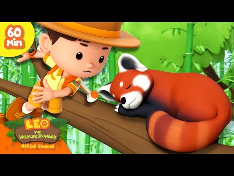 Witness21 Editor  2024 07 27