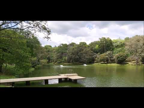 Um pouco da Natureza do Condomínio Residencial Paradise em Cabreúva SP Alto Padrão