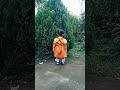 Mugunghwa Kkochi Pieot Seumnida version 2 0