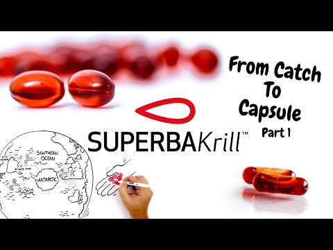 Superba Krill from Catch to Capsule | Part 1
