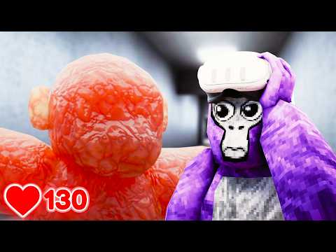 My Heart Hates Me for This Video... (Scary Baboon)