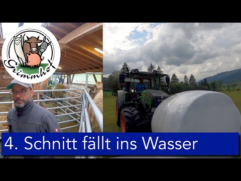 FarmVLOG#83 - Der 4. Schnitt fällt voll ins Wasser 😓