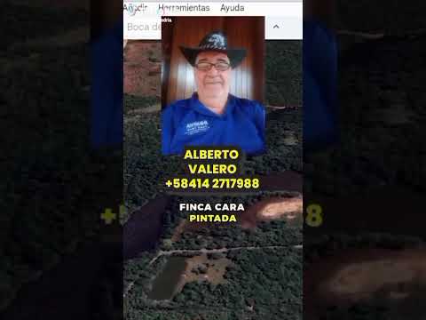 OFERTA negociable vendo 425 hectáreas en Venezuela Cupira estado Miranda WhatsApp+5804142717988