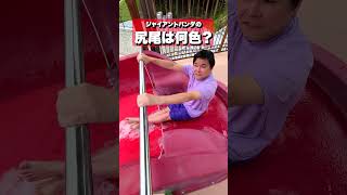 ウォータースライダー終わる前に答えを出せ🛝💦