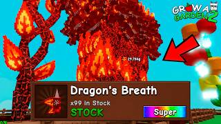 First Bug in Grow Garden 2: Dragon Brief and Ghost Pepper Duplication thumbnail