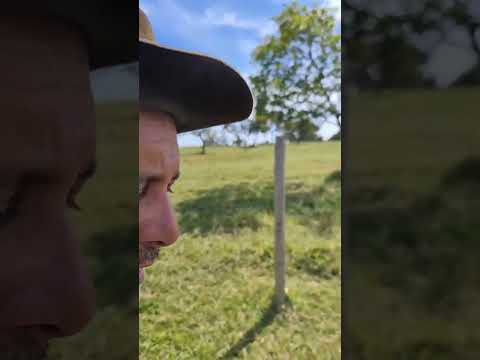 🚜 EXCELENTE SÍTIO À VENDA EM COCALZINHO DE GOIÁS 🚜