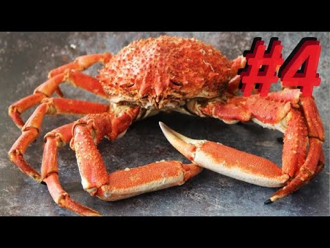 Crab-Com (Phoenix Point) Episode 4