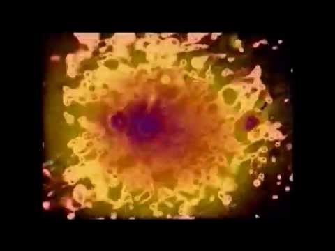 johanna vaude interview arte 2005