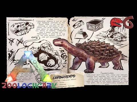 Ark FR - Zoologik'Ark - Le Carbonemys #6