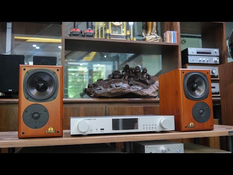 Coctail N25 Ampli & Castle Richmound / Hệ thống nghe nhạc số cao cấp