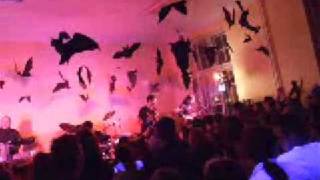 Alogija - Secanja na slike iz sna, KST Maskenbal  27 12 2008 