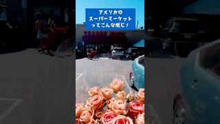 アメリカのスーパー買い物 #トレーダージョーズ #ロサンゼルス