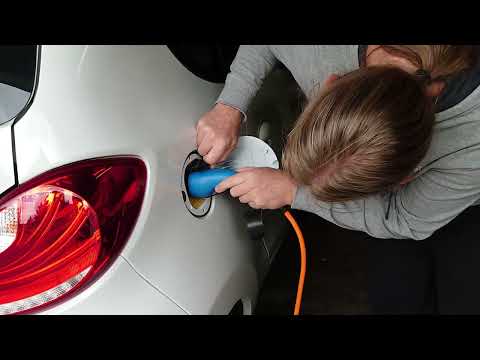 Elaris Pio - Die Dritte