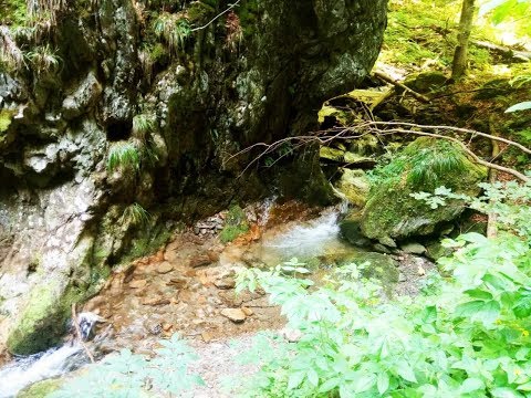 Cheile Morii - Valea Morii - Pasul Vâlcan