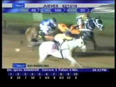 Resumen Jueves, 02 de Diciembre de 2010 - Santa Rita