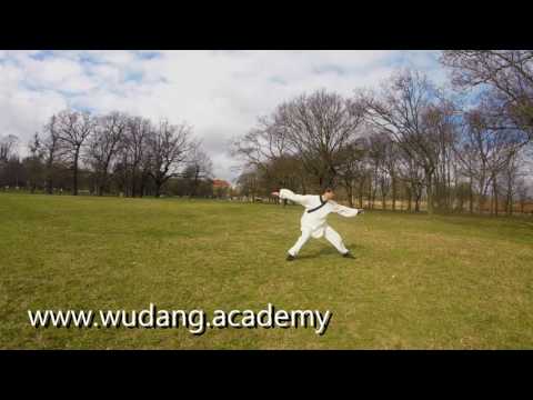 Wudang Academy Ji Ben Quan by Stefan