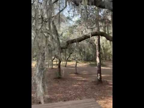 more than enough clearance for 10’6 tall with roof deck bus