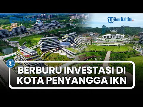 China, Jepang, dan Korea Selatan Berburu Investasi Bidang Lingkungan di Kota Penyangga IKN Nusantara