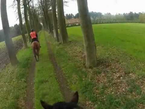 Endurance Beernem 2012