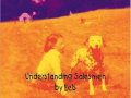 Understanding salesmen - Eels