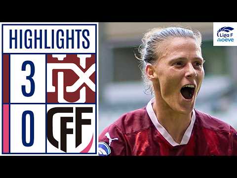 bg-highlight