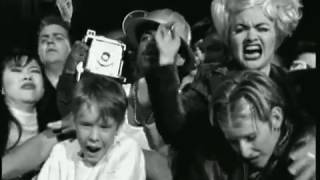 Etienne Daho - Jungle pulse - Clip officiel (avec bruit d&#39;ambiance de la foule)