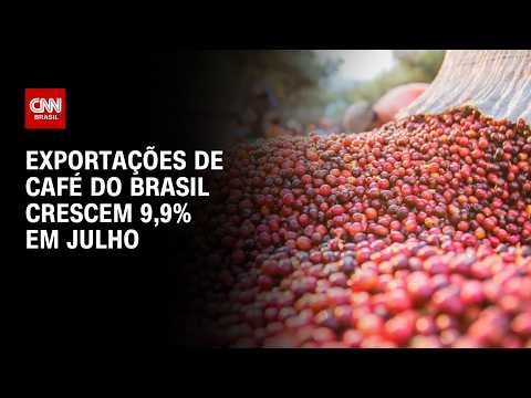 Café: Exportações brasileiras crescem 9,9% em julho | CNN AGRO NEWS