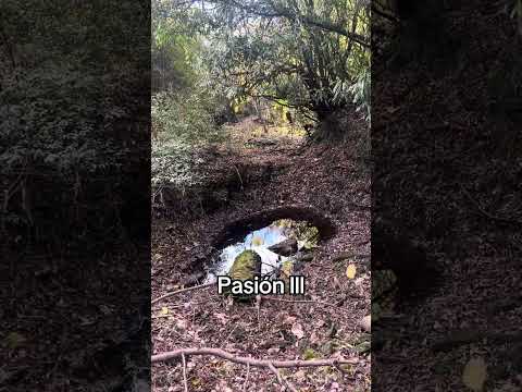 La Laguna San José abastece de agua potable al complejo Raigon Colona de Vacaciones de BPS