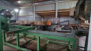 Segheria portatile Forestor | Immagine 4 - Machineryline