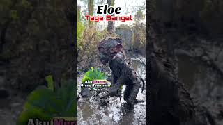 Download lagu You are so cruel mp3 Download lagu You are so cruel mp3