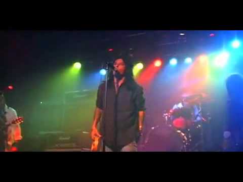 THE THROBS  underground - live 2010